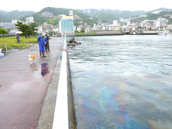 熱海観光港が汚染されている 釣り人からの指摘を受け、鈍く光りながら帯状に広がる油