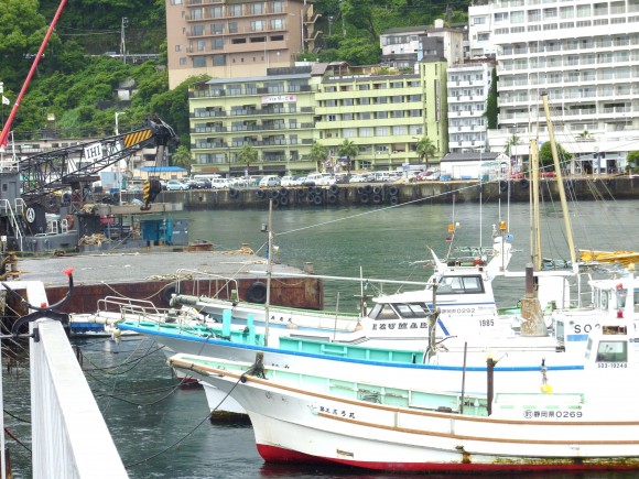 大熱海漁業組合への影響も 気になる2次被害への波及