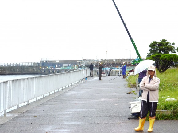 熱海人気スポットを汚染する招かざる客 重油の帯に戸惑う釣り客