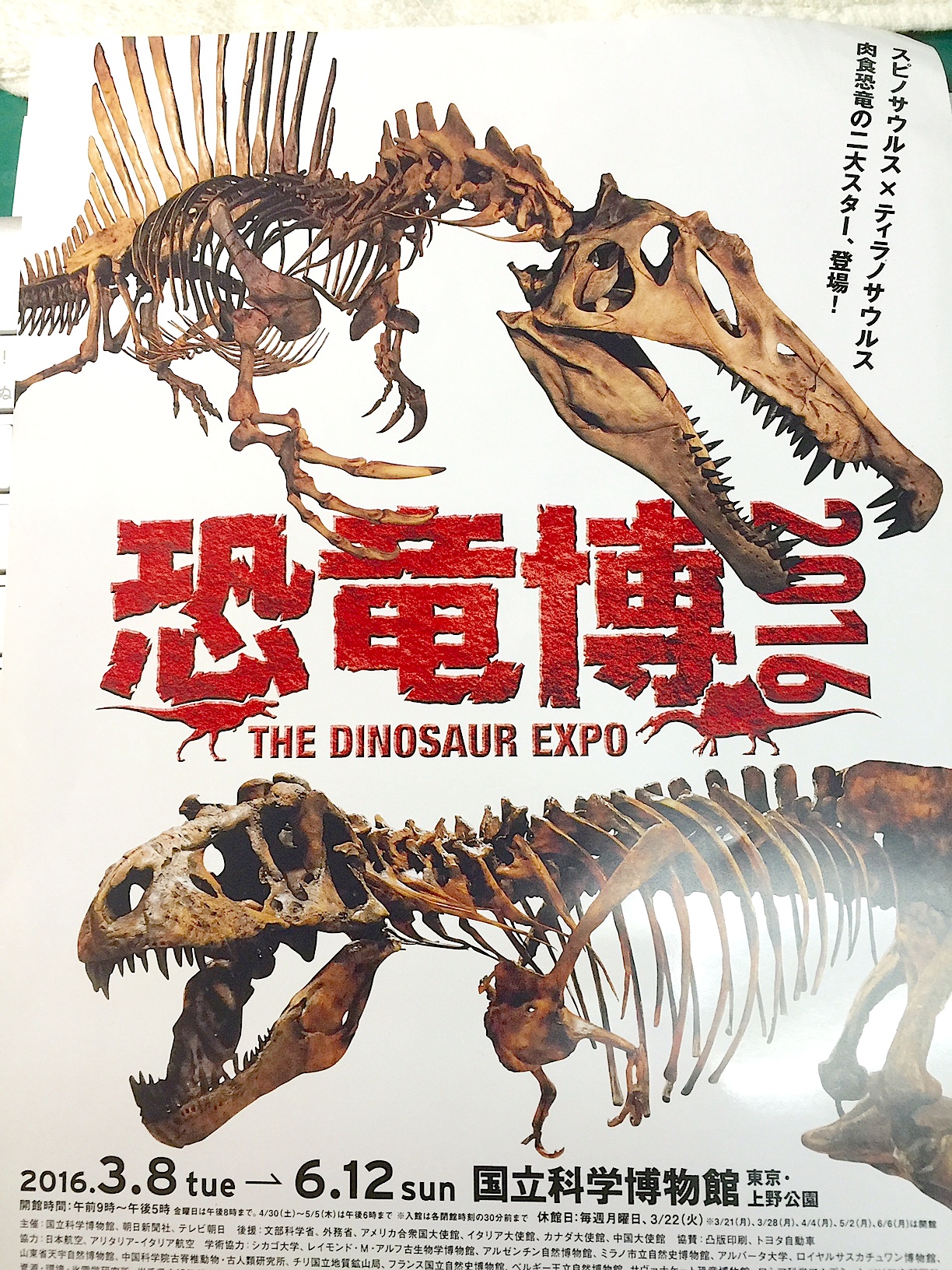 ● 恐竜化石 スピノサウルスの歯 国立科学博物館　恐竜博 2016 THE DINOSAUR EXPO ちらし　新聞　フィギュア　資料